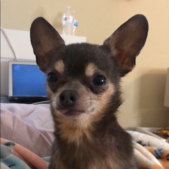 Meet your Posher, Carrie - Picture 1 of 1